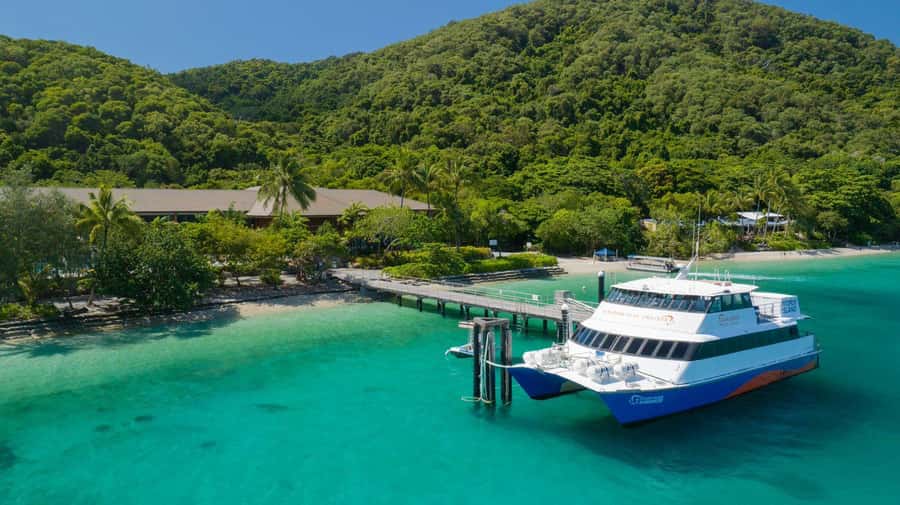 Cairns: Fitzroy Island Ferry w/ Snorkel, Lunch, Tour Options - 4+ Hours on the Island: beaches, rainforest walks, and self-guided freedom