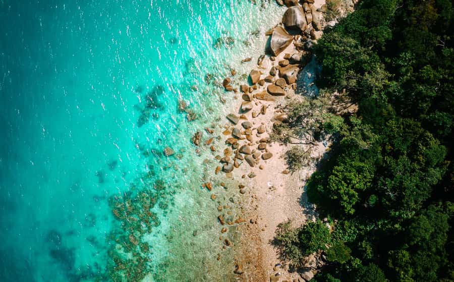 Cairns: Fitzroy Island Ferry w/ Snorkel, Lunch, Tour Options - Glass bottom boat ride: when it’s worth adding