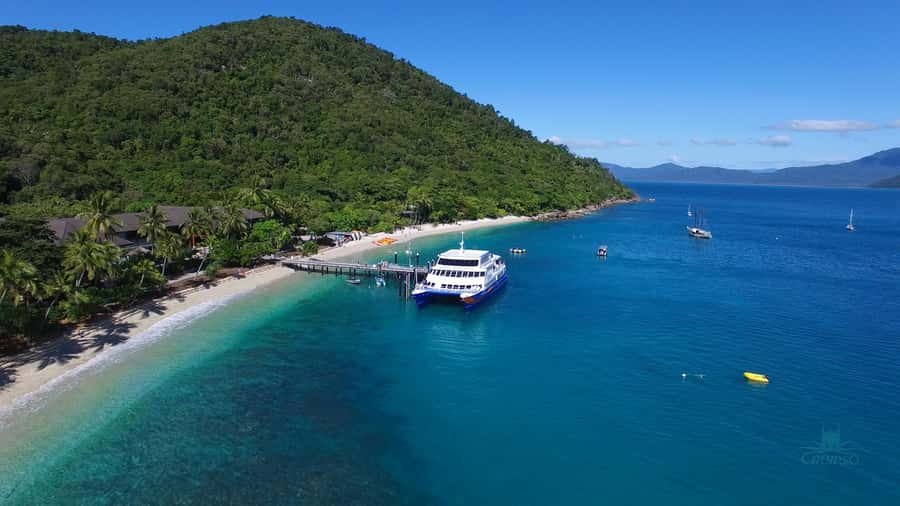 Cairns: Fitzroy Island Ferry w/ Snorkel, Lunch, Tour Options - Lunch box and dietary options: what’s included and what to double-check