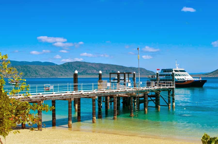Cairns: Fitzroy Island Ferry w/ Snorkel, Lunch, Tour Options - Logistical details that actually matter in Cairns