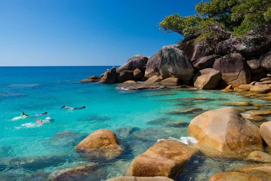 Cairns: Fitzroy Island Ferry w/ Snorkel, Lunch, Tour Options - Snorkeling off the beach: what the gear options change
