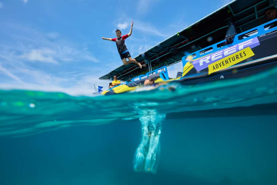 Cairns: Great Barrier Reef Half-Day Snorkelling Tour - Pricing and What You Actually Get for $126