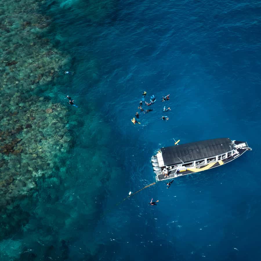 Cairns: Great Barrier Reef Half-Day Snorkelling Tour - The Reef Ride: Two Reef Stops and a Big Chunk of Snorkel Time