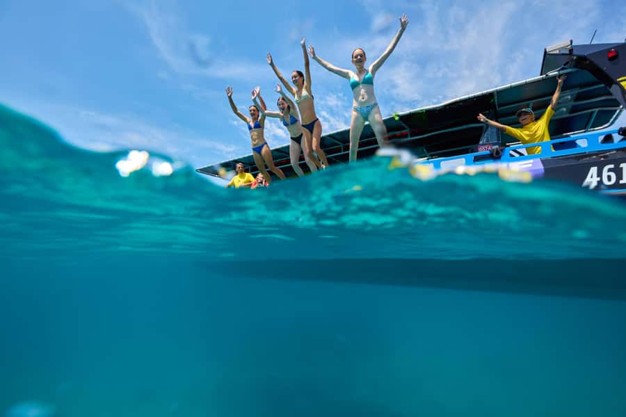 Cairns: Great Barrier Reef Half-Day Snorkelling Tour - Snorkel Gear, Stinger Suits, and the Safety Stuff That Makes It Work