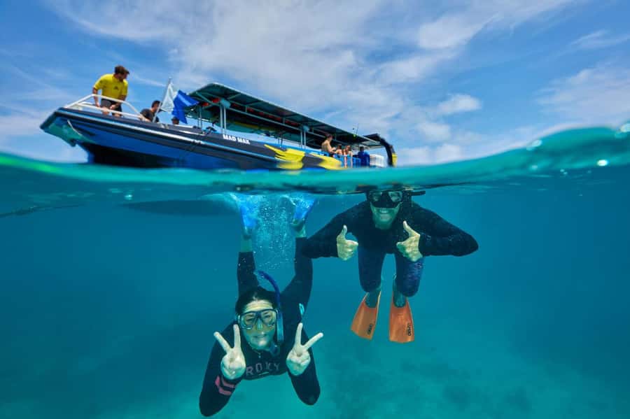 Cairns: Great Barrier Reef Half-Day Snorkelling Tour - What You Can Expect to See Underwater