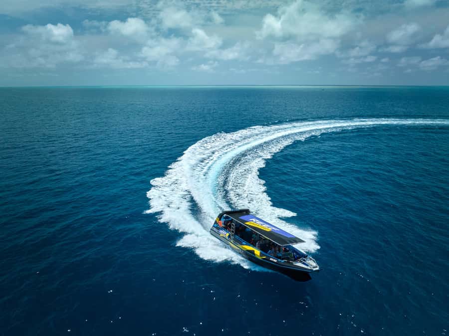 Cairns: Great Barrier Reef Half-Day Snorkelling Tour - A Realistic Timeline for Your Day