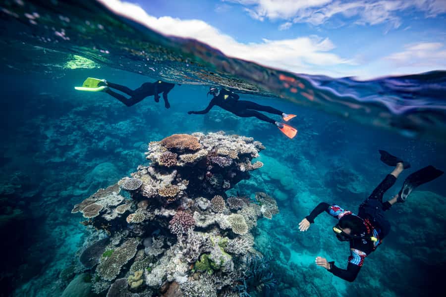 Cairns: Great Barrier Reef Premium Diving Full Day Tour - Boat time, safety briefings, and the marine biologist angle