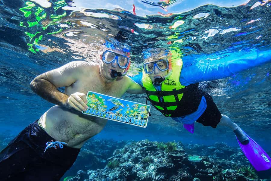 Cairns: Great Barrier Reef Premium Diving Full Day Tour - Price and value for a 9-hour Cairns reef day