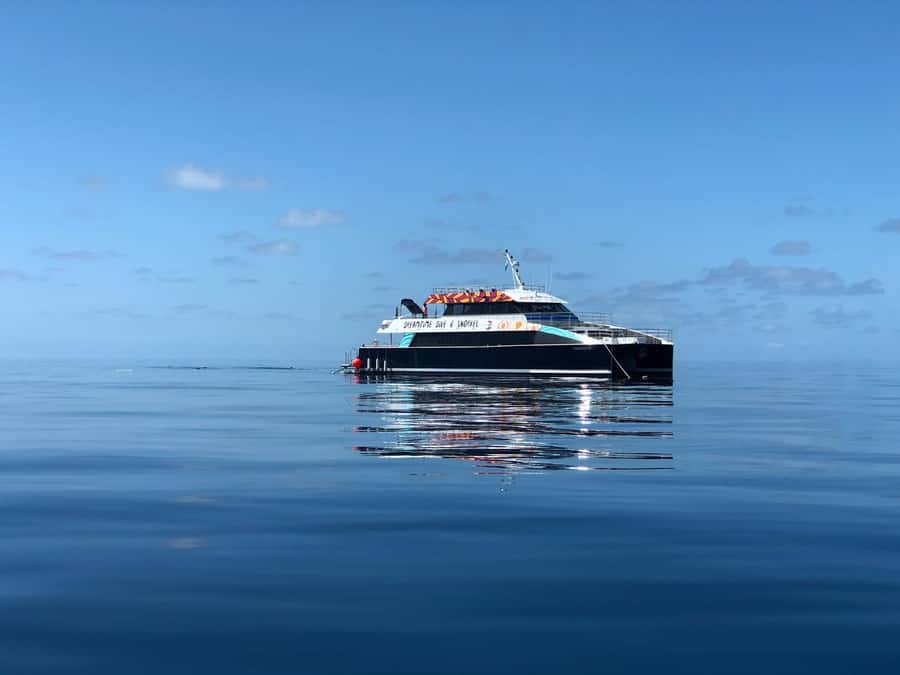 Cairns: Great Barrier Reef Premium Diving Full Day Tour - Indigenous welcome meets the reef’s creation story