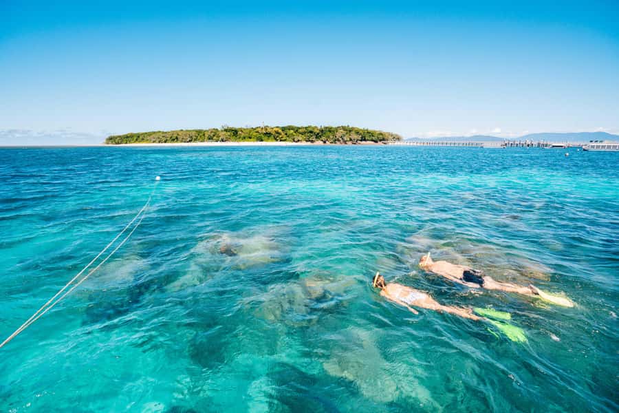 Cairns: Green Island Snorkelling or Glass Bottom Boat - Key Highlights Worth Booking For