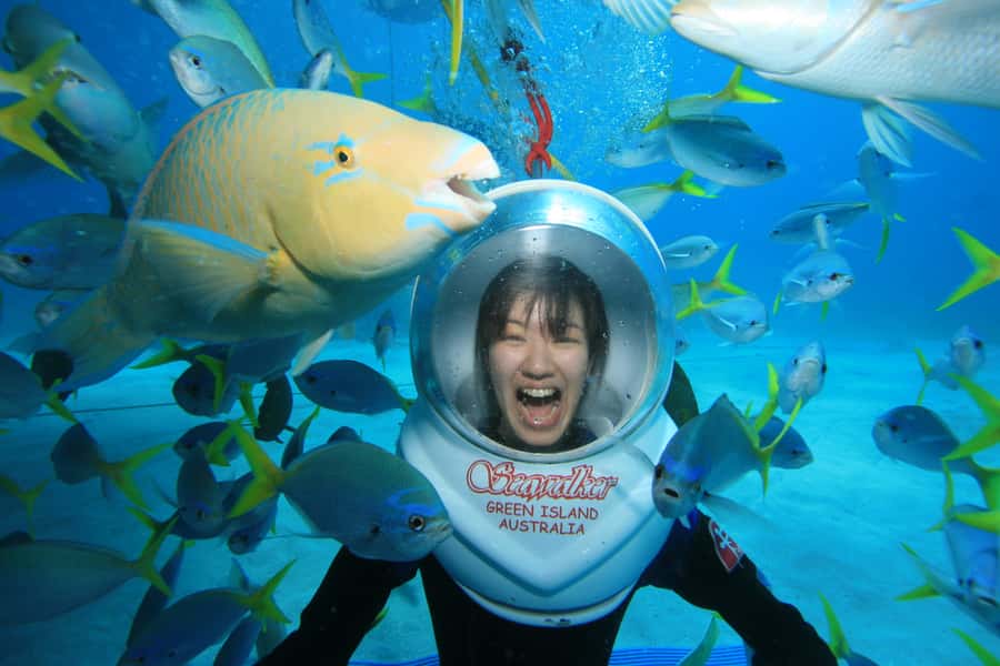 Cairns: Green Island Snorkelling or Glass Bottom Boat - Snorkel From the Beach: What You’ll Actually See