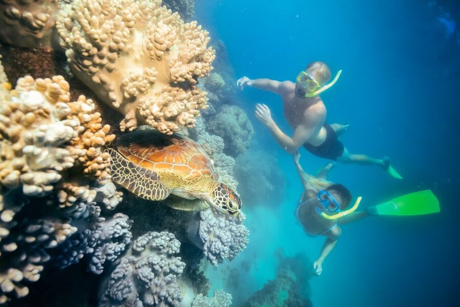 Cairns: Green Island Snorkelling or Glass Bottom Boat - The Glass-Bottom Boat: Reef Viewing Without the Choreography