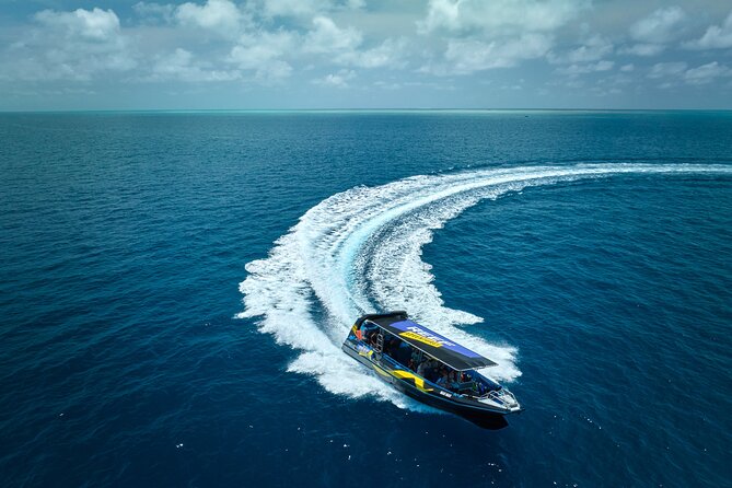 Cairns Half Day Tour a Great Barrier Reef Snorkeling Experience - Quick Hits You Should Know Before You Go