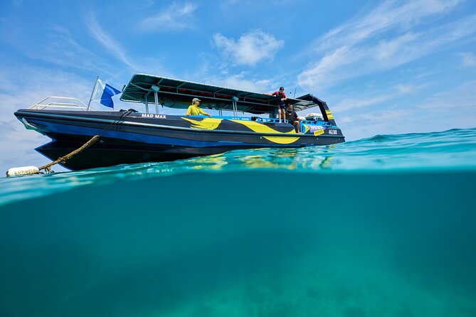 Cairns Half Day Tour a Great Barrier Reef Snorkeling Experience - The Time Trade-Off: Half-Day Means You’ll Need Good Conditions