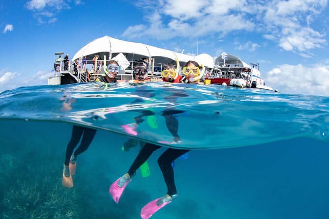 Cairns Half Day Tour a Great Barrier Reef Snorkeling Experience - Value for Money: Why $128.39 Can Make Sense