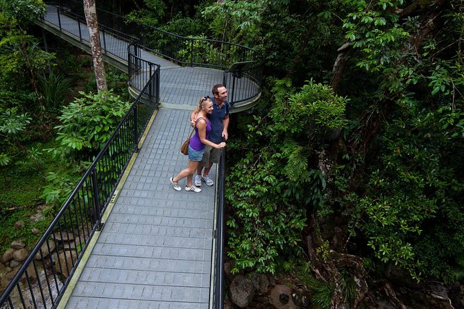 Cairns Half Day Tour a Great Barrier Reef Snorkeling Experience - Who Should Book This Tour (and Who Should Skip It)
