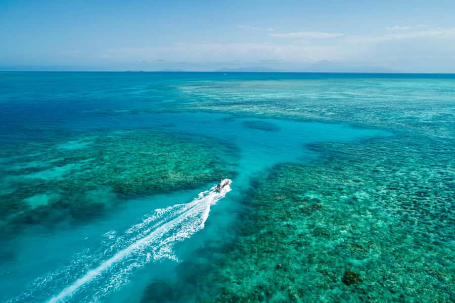 Cairns: Outer and Coral Cay Snorkel and Dive Cruise - Key things that make this Great Barrier Reef day work
