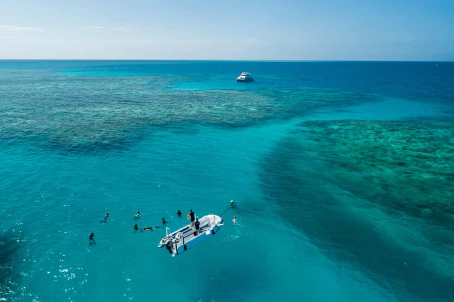 Cairns: Outer and Coral Cay Snorkel and Dive Cruise - Why the outer Upolu Reef and Coral Cay day feels more like a real reef visit