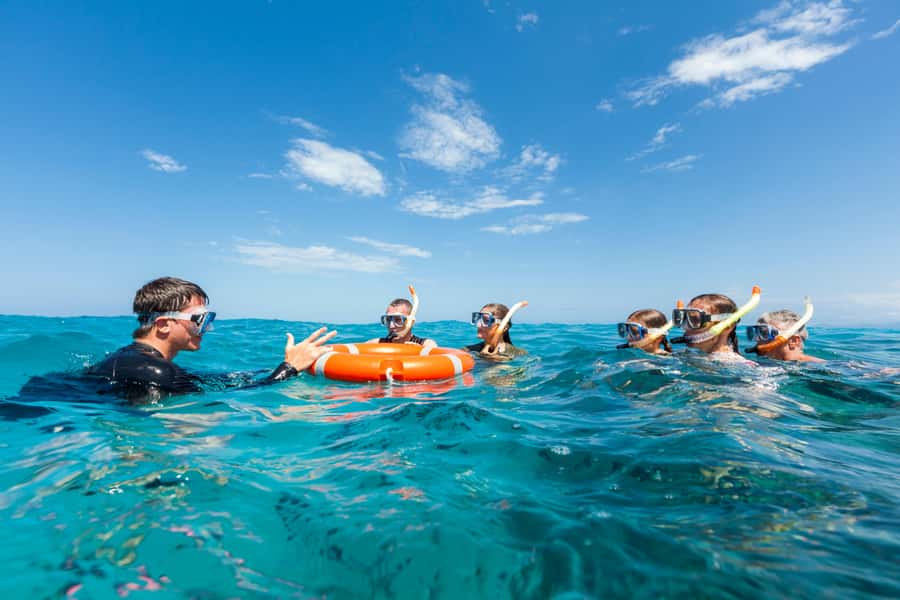 Cairns: Outer and Coral Cay Snorkel and Dive Cruise - Upolu Coral Cay, Aquarium-style: stingrays, turtles, and why clear water changes everything