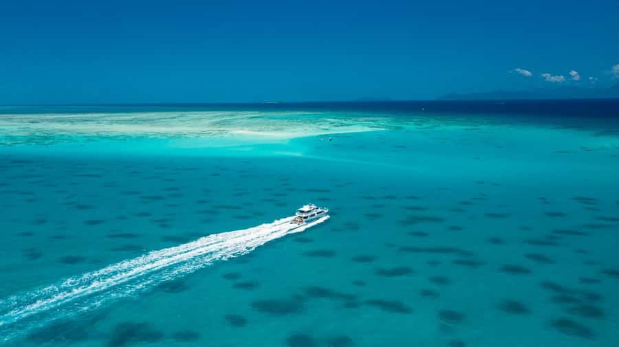 Cairns: Outer and Coral Cay Snorkel and Dive Cruise - Food on the reef cruise: smorgasbord lunch, snacks, and the little comforts that add up