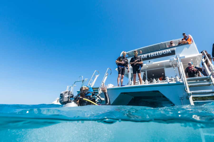 Cairns: Outer and Coral Cay Snorkel and Dive Cruise - How the crew manages safety and calm for first-timers