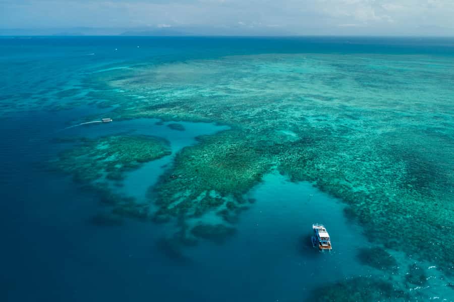 Cairns: Outer and Coral Cay Snorkel and Dive Cruise - Who this Cairns reef cruise suits best (and who should rethink it)