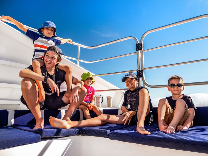 Cairns: Premium Snorkelling and Diving Reef Day Trip - Who this Cairns reef trip suits best
