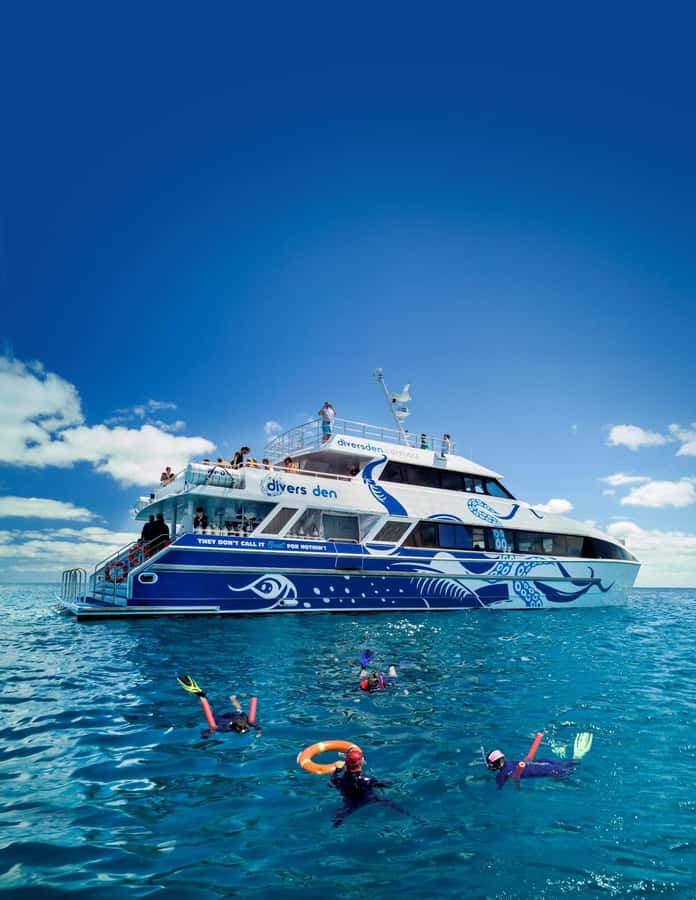 Cairns: Premium Snorkelling and Diving Reef Day Trip - The outer reef sites: Norman, Saxon, and Hastings moorings