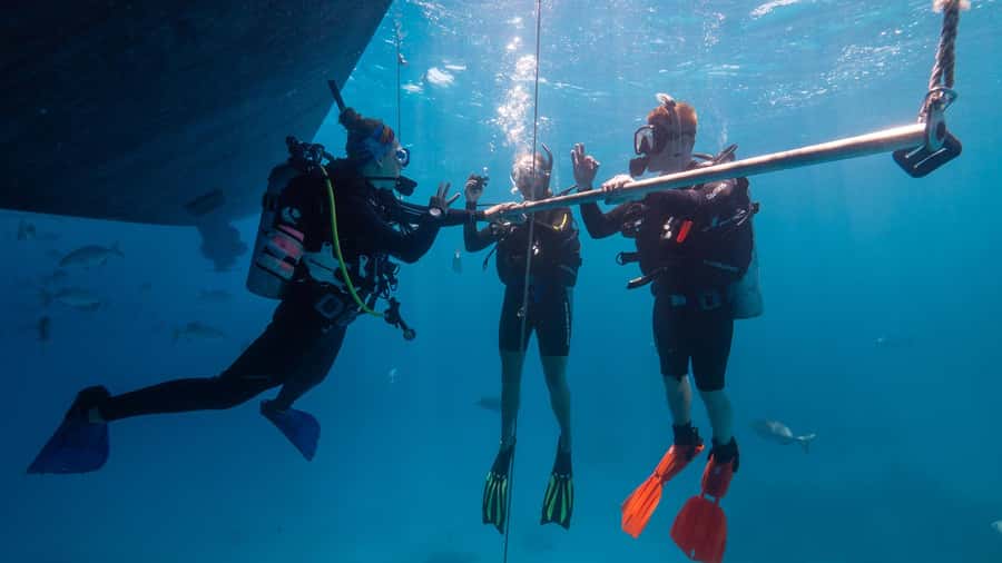 Cairns: Premium Snorkelling and Diving Reef Day Trip - What the snorkeling time actually feels like