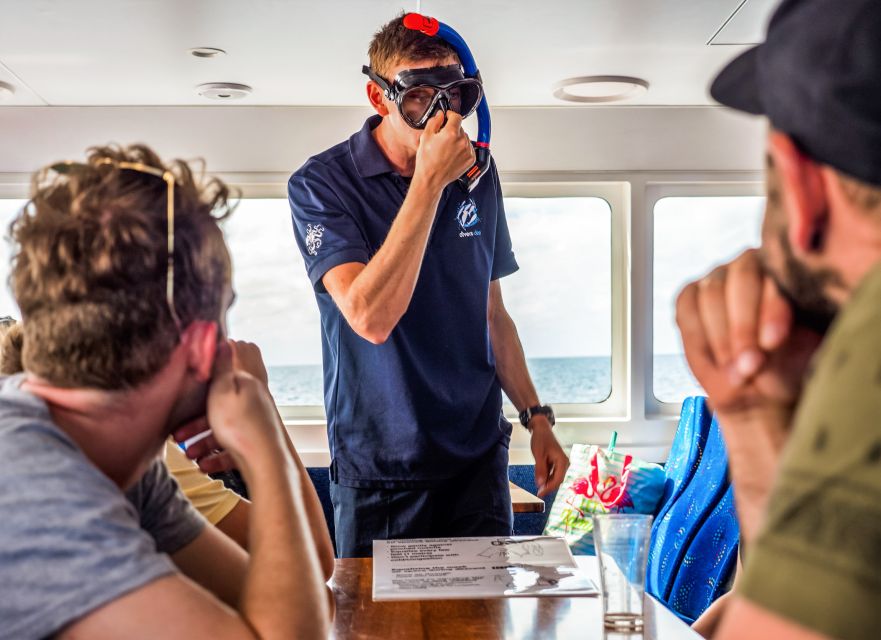Cairns: Premium Snorkelling and Diving Reef Day Trip - Scuba option and first-timer nerves: what you can expect