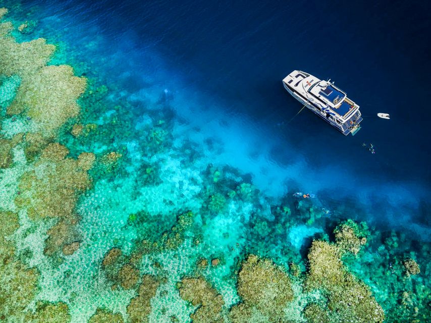 Cairns: Premium Snorkelling and Diving Reef Day Trip - What to bring for a smooth reef day (and what to avoid)