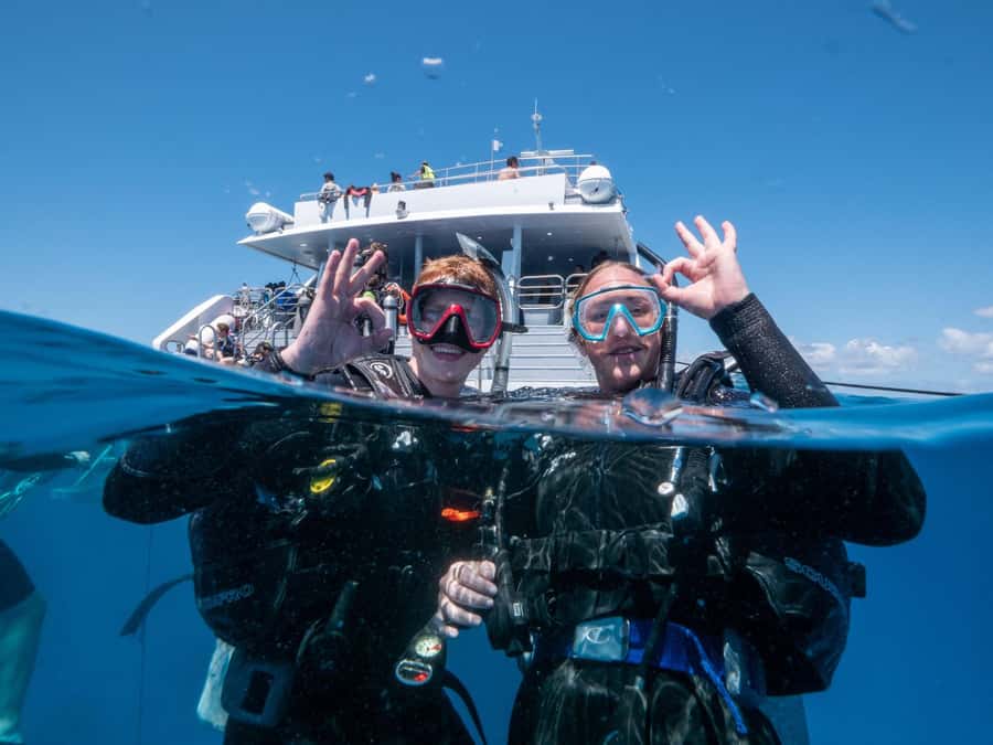 Cairns: Premium Snorkelling and Diving Reef Day Trip - Price and value: is $166 a fair deal in Cairns?