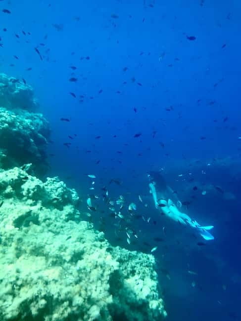 Cala Codolar: Guided Sea Kayaking and Snorkeling Tour - Those cliffs and caves: where the guide earns their pay