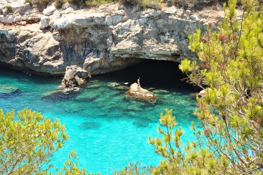 Cala des Moro/S'Almunia: Snorkel and SUP Tour - Key things that make this tour work