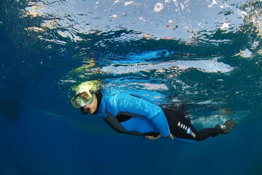 Calvi: Pointe de la Revellata Snorkeling Boat Tour - Family-friendly adventure: who this fits best (and why)