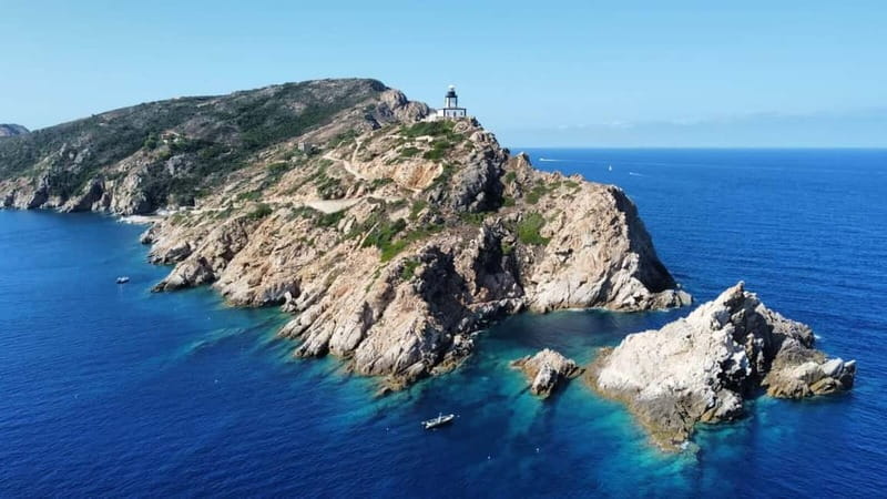 Calvi : Sortie snorkeling en bateau en bordure de réserve - Key things I’d mark in your mental checklist