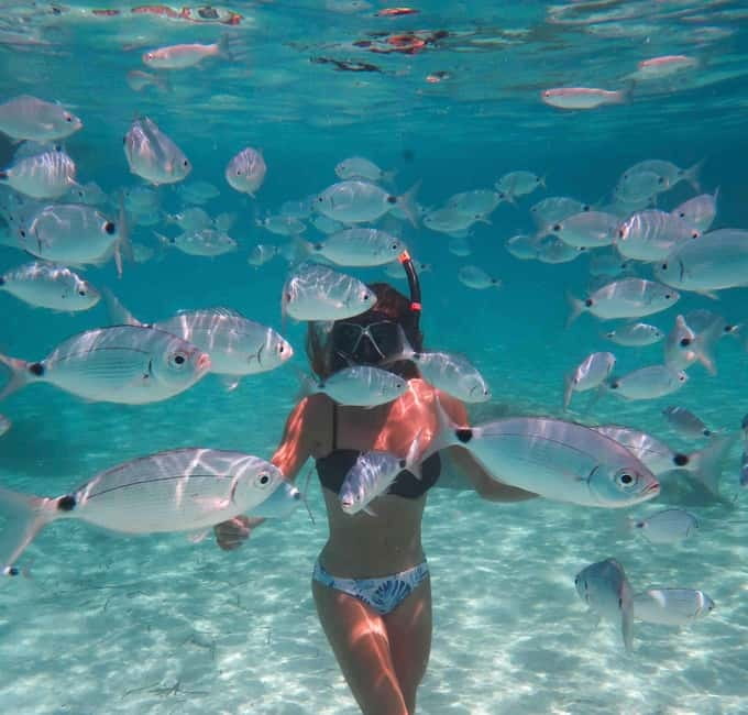 Calvi : Sortie snorkeling en bateau en bordure de réserve - The zodiac ride and the anchored hour: how the snorkeling actually works