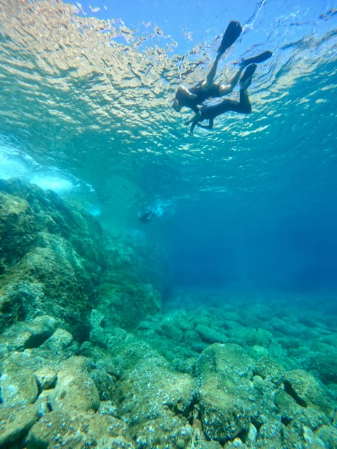 Calvi : Sortie snorkeling en bateau en bordure de réserve - Who this trip fits well (and who should skip it)