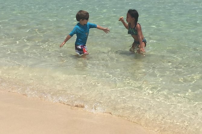 CAPTAIN ALAN'S 4hr -3 Islands-snorkeling-turtles-beach ADVENTURE - Stop 2: St Maarten Snorkeling at Creole Rock or Greenkey (About 45 Minutes)