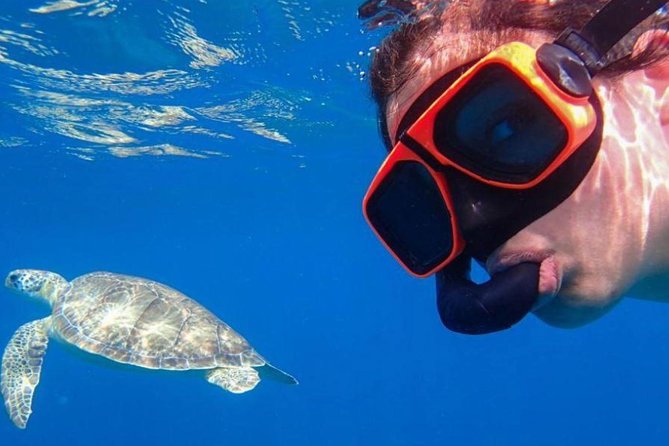 CAPTAIN ALAN'S 4hr -3 Islands-snorkeling-turtles-beach ADVENTURE - The Value of a Small Group (12 People) on a Speedboat