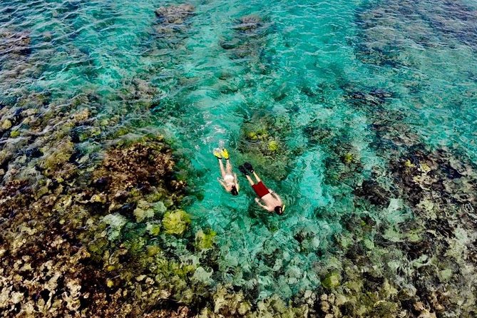 Captain Bob Speed Boat, Snorkeling, Beach Tour & Lunch St Maarten - Key points to know before you go