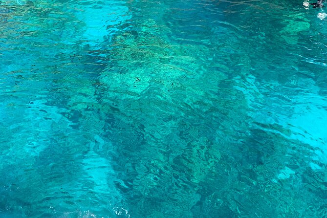 Captain Cook Reef Snorkeling of Kealakekua Bay - Snorkeling gear, instruction, and staying comfortable in the water
