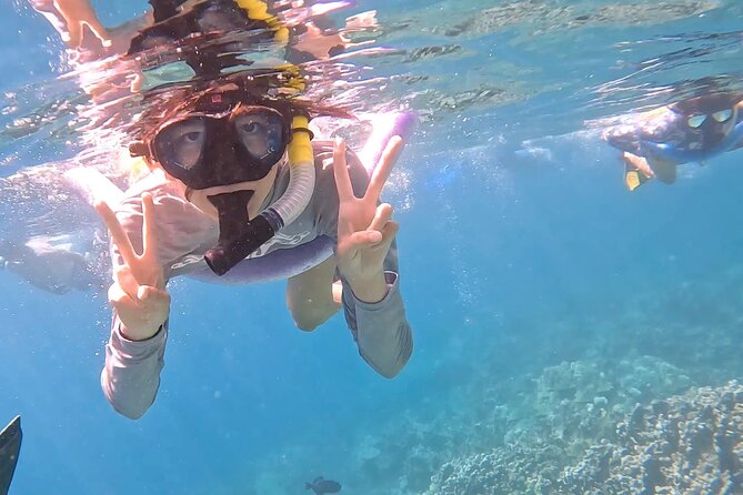 Captain Cook Reef Snorkeling of Kealakekua Bay - Price and value: what $80 gets you for a full half-day