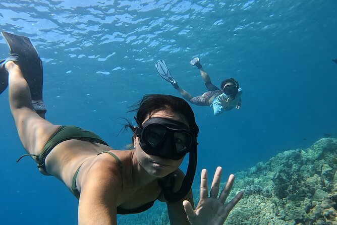 Captain Cook Reef Snorkeling of Kealakekua Bay - Who should book this Captain Cook Reef snorkeling trip
