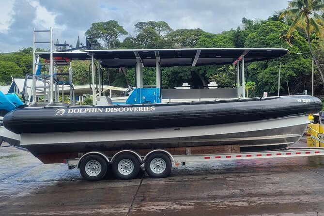 Captain Cook Snorkel Tour with Sea Caves and Lava Tubes - Sea caves and lava tubes: the Kona coast views you can’t get from shore