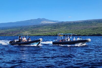 Captain Cook Snorkel Tour with Sea Caves and Lava Tubes - The 4-hour rhythm: what you’re really buying with $89