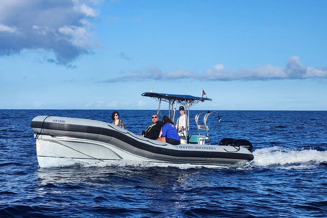 Captain Cook Snorkel Tour with Sea Caves and Lava Tubes - What’s included: drinks, noodles, and the gear you actually use