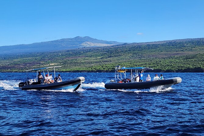 Captain Cook Snorkel Tour with Sea Caves and Lava Tubes - The 4-hour rhythm: what you’re really buying with $89
