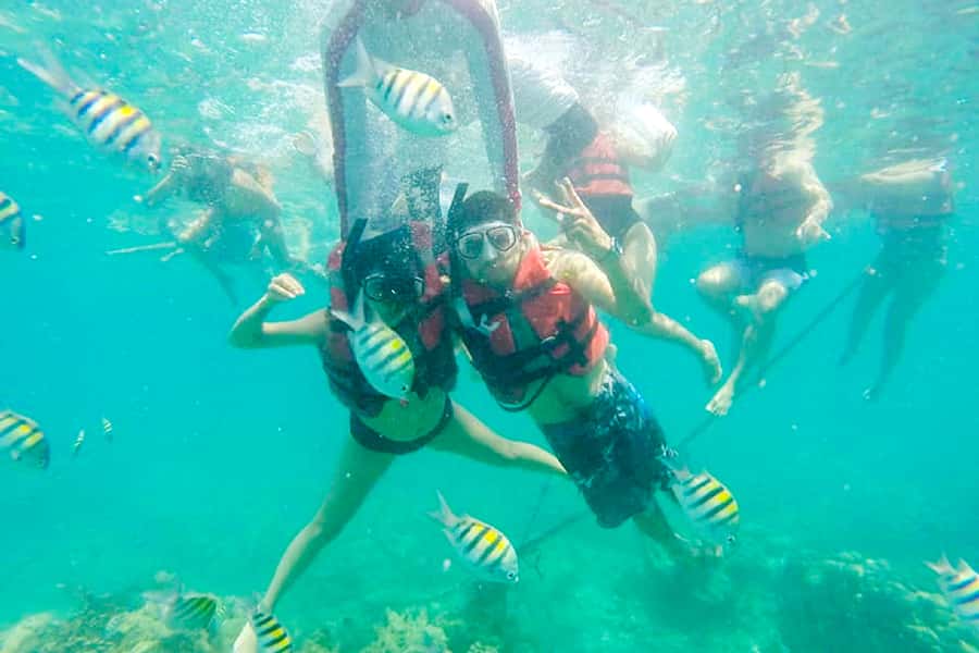 Cartagena: Snorkel, Mangroves and Playa Blanca Tour - Key things I’d bet on (before you book)
