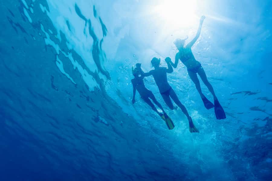 Cartagena: Snorkel, Mangroves and Playa Blanca Tour - Leaving Cartagena at 7:30 AM: the ride that sets the tone